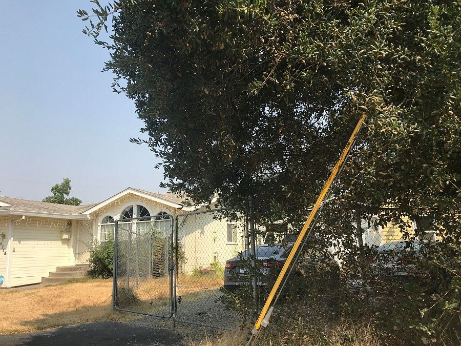 2nd image of 2715 Maison Way
