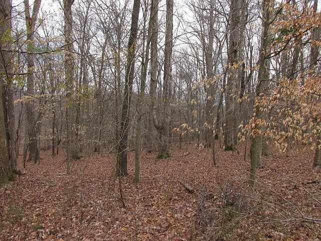 1st image of 0 Country Club Dr Lot 38