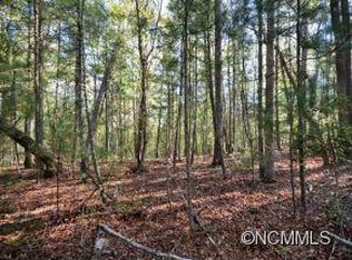 97 Chauncey Cir LOT 2, Asheville, NC 28803