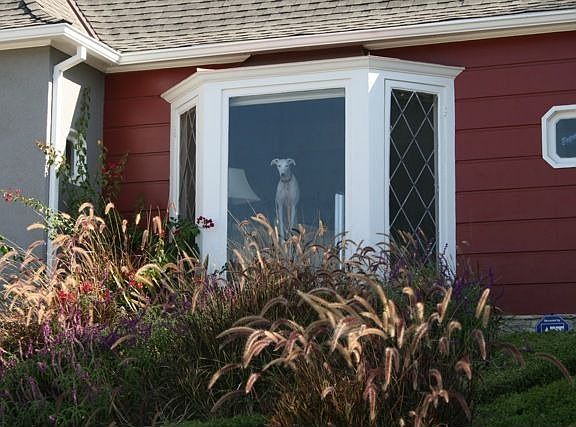 4th image of 2428 Meadow Valley Ter