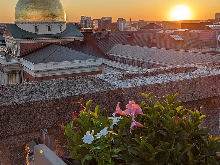 View from roof deck