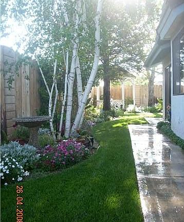 side yard