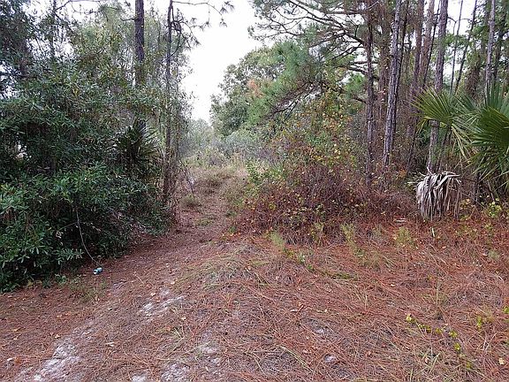 2nd image of 27241 Monte Cristo Blvd