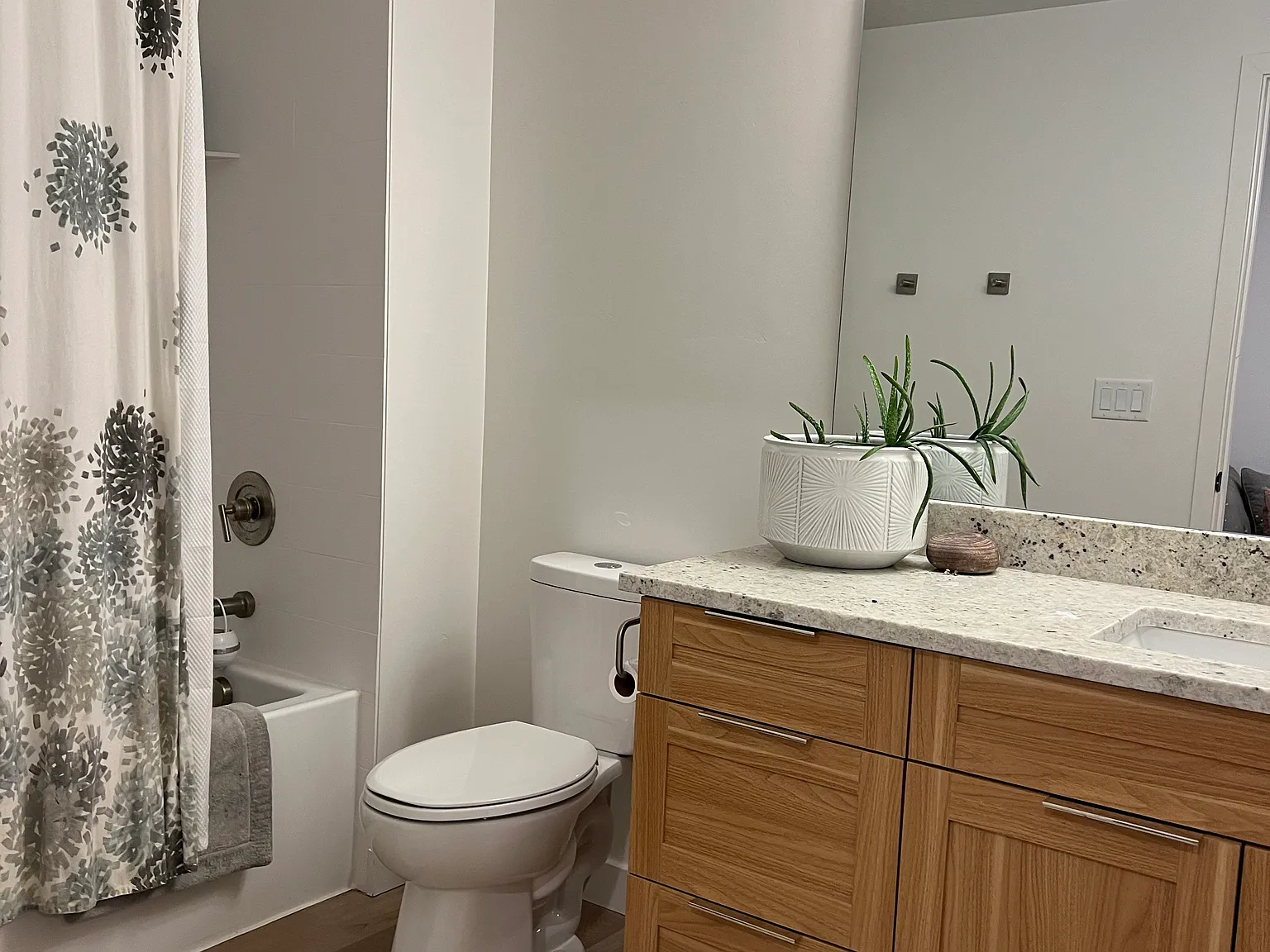 1 bed, 900 sqft, $1,600 — Photo 3