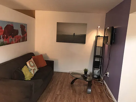 Rented by PLUSH REALTY Inc | media 7