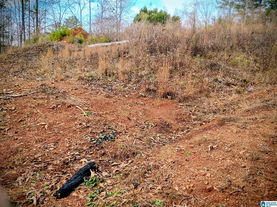 1st image of Foster Cir Lot 10