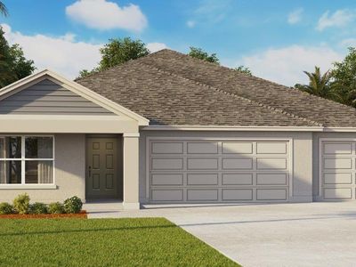 1438 Brown Mallet Pl, Ruskin, FL, 33570