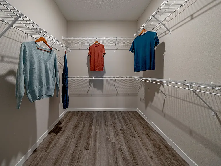 Expansive Walk-in Closet