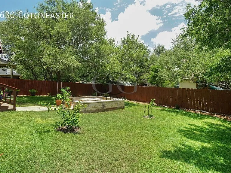 3630 Cotoneaster — Photo 2
