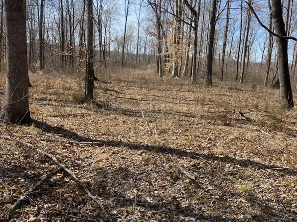 0 Marion Rd Lot 5, Cunningham, TN 37052