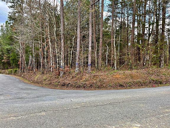 5th image of 0 County Road 188 Lot 2