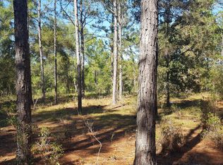 133 Heritage Way, Hawthorne, FL 32640