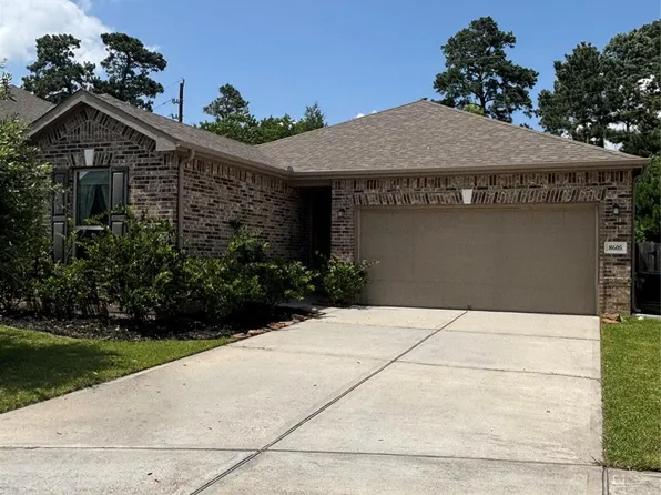 8605 Cimarron Mesa Ln, Magnolia, TX 77354