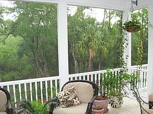 Private freshwater marsh backyard