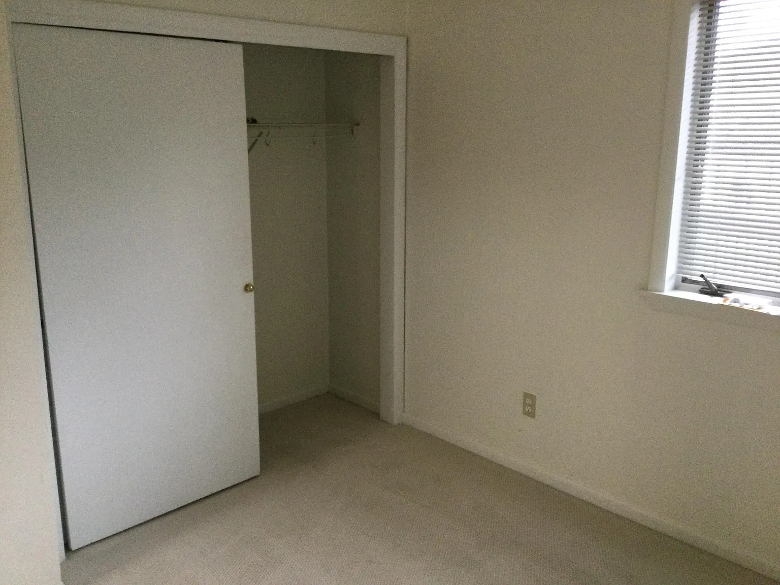 1 bed, $900 — Photo 1