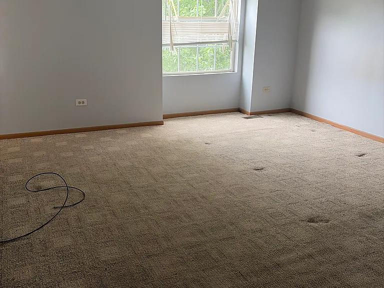 5311 Whisper Meadow Ct — Photo 14