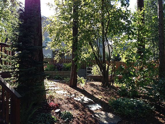 Rear.Path through the trees 