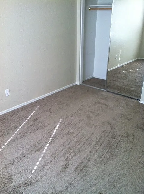 3 bed, 1300 sqft, $1,850 — Photo 4