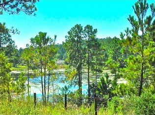 305 White Sands Beaches Dr, Hawthorne, FL 32640