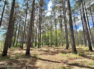 2 Morgan Rd Lot 2, Canton, MS 39046