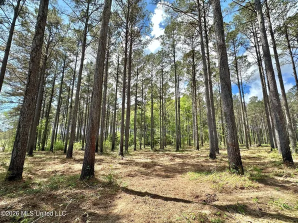 2 Morgan Rd Lot 2, Canton, MS 39046