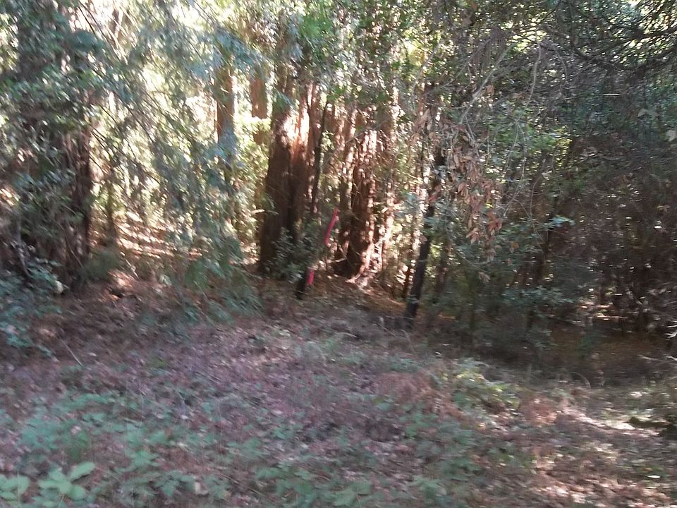 2nd image of 2000 Sparrow Valley