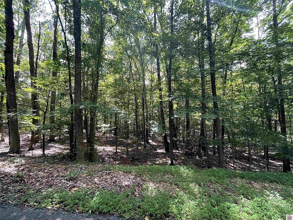 1st image of LOT 26 Blue Springs Rd