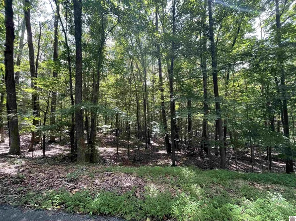 LOT 26 Blue Springs Rd, Cadiz, KY 42211