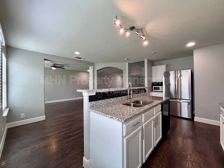 8734 Snow Goose — Photo 12