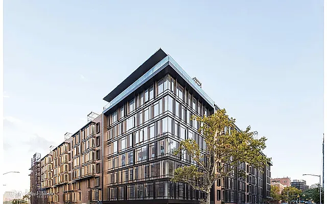 Rented by Douglas Elliman | media 13
