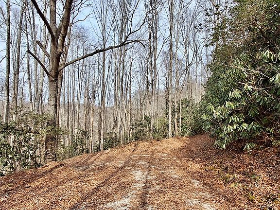 5th image of 0 Lake Ridge Ln