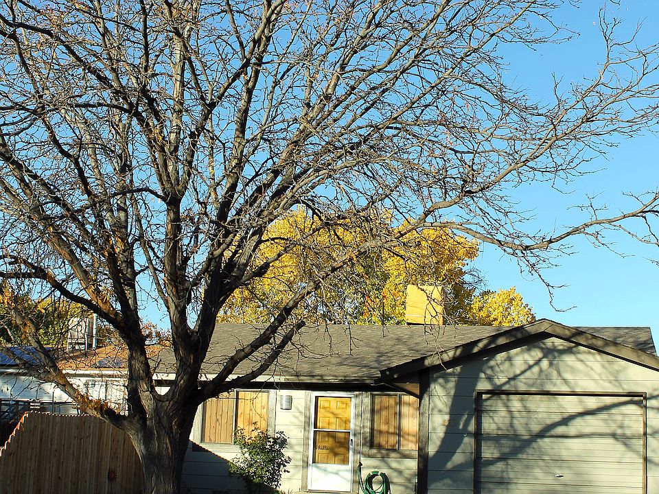 1st image of 523 Campbell Way