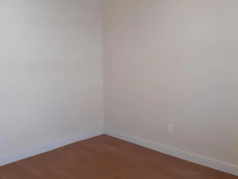 237 Bishop St #2 — Photo 8