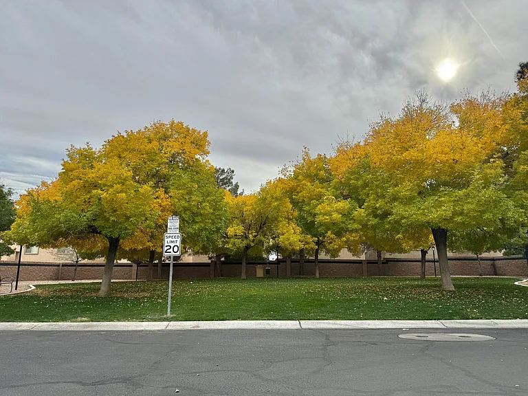 9070 Vintage Wine Ave — Photo 39