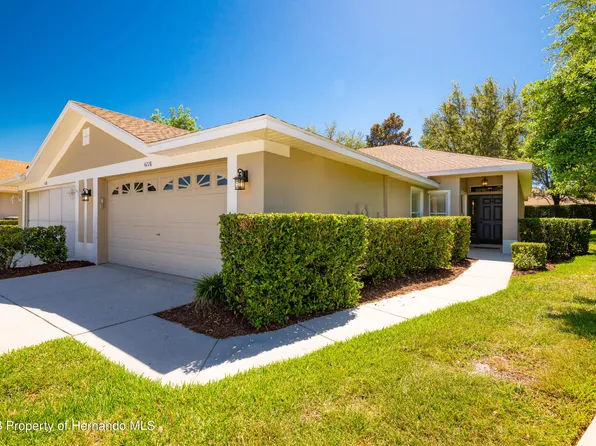 4228 Silver Star Dr, Spring Hill, FL 34609