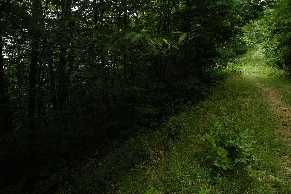 106 Smoketree Rd Banner Elk NC Zillow