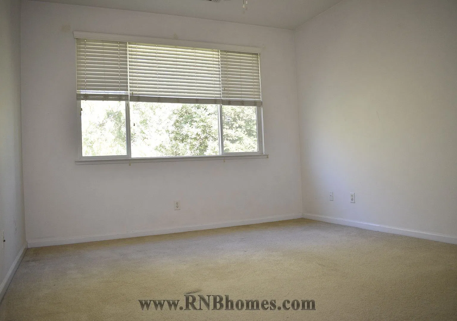 Mount Kisco Way 4336 — Photo 4
