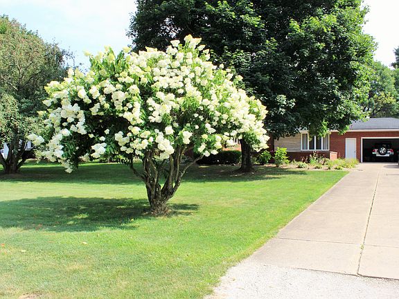 4th image of 3605 Mary Lou Ln N