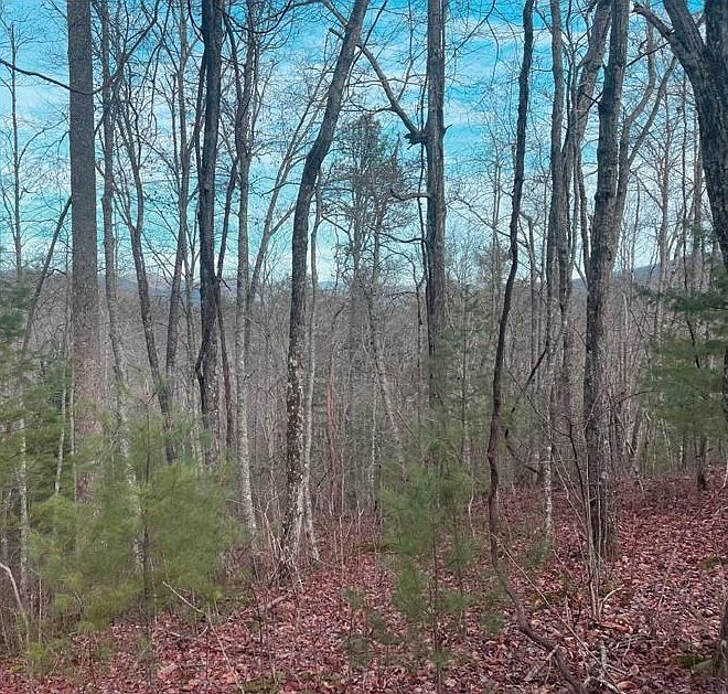 1st image of 90 Golden Falls Dr