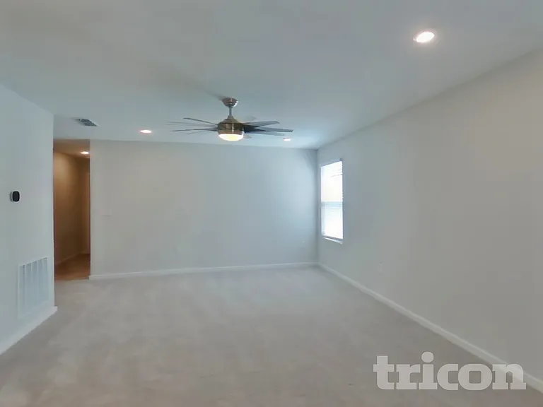 64 Brazil Nut Cir — Photo 4