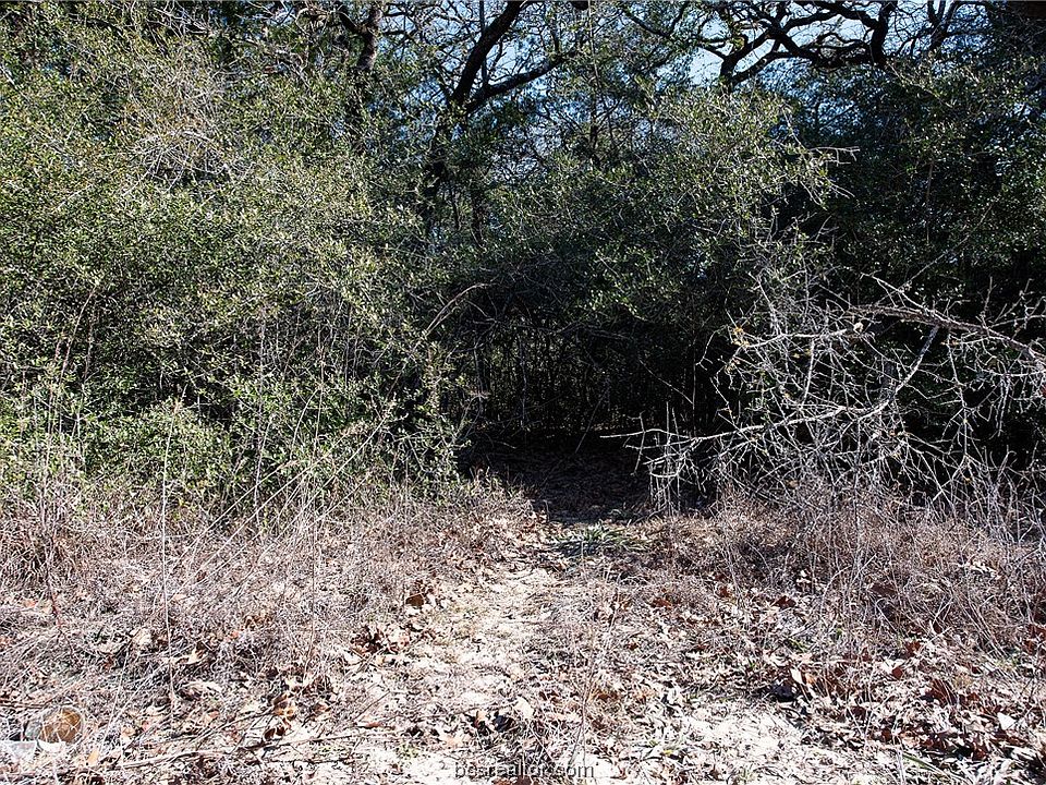 1st image of Holly Dr