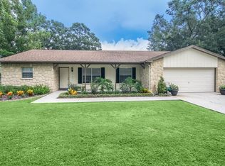 2803 Raspberry Pl, Brandon, FL 33511