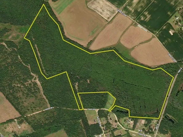 1312 Todds Rd, Marion, SC 29571