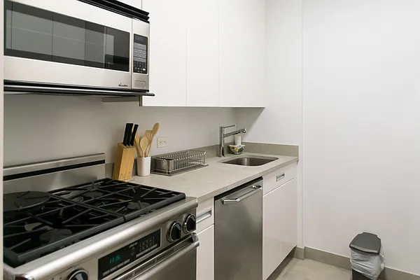 Rented by NY Living Solutions | media 22