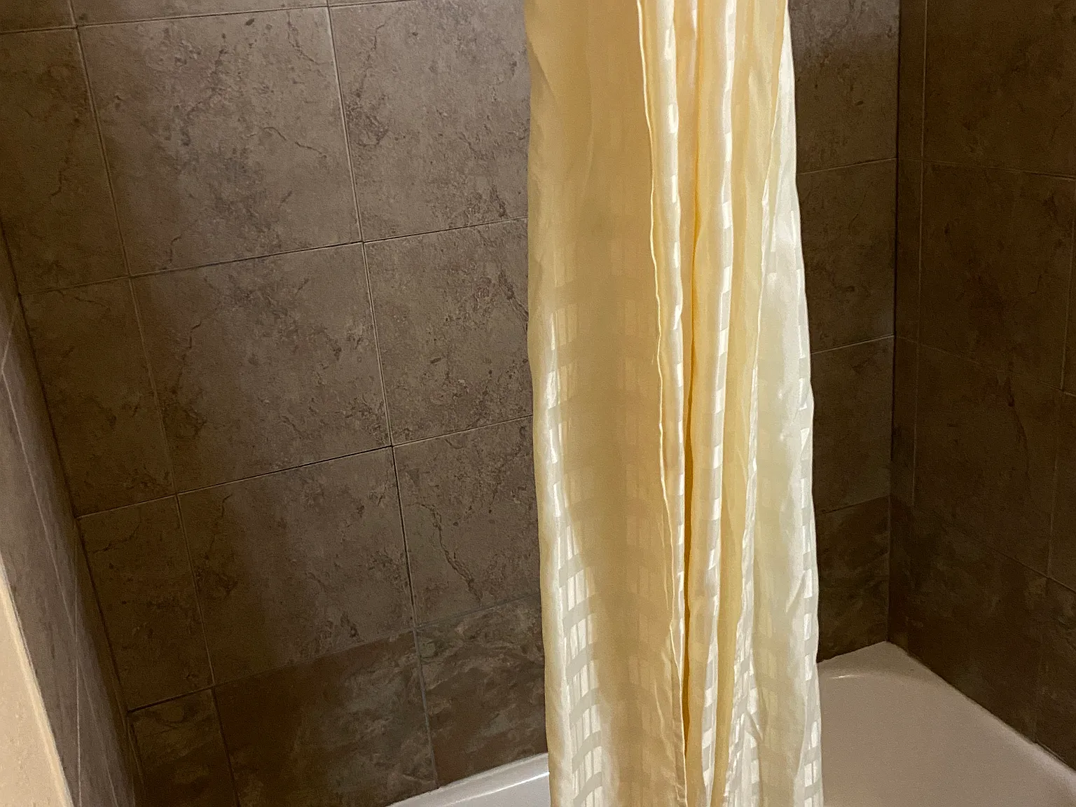 1 bed, 600 sqft, $700 — Photo 3
