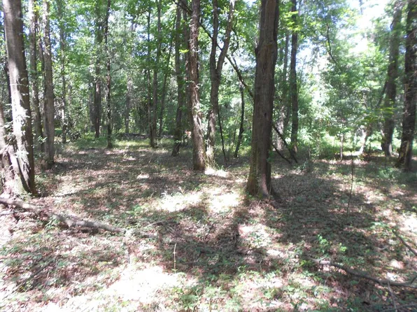 511 Patricia Dr, Montezuma, GA 31063