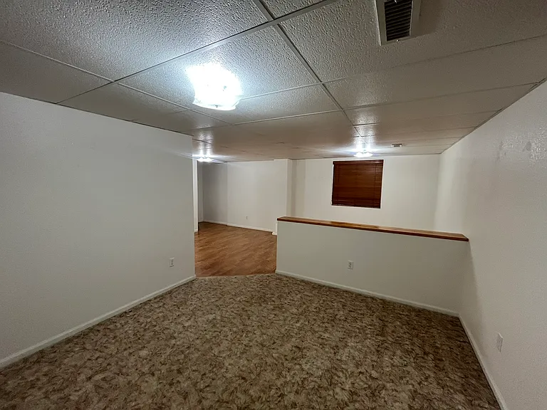 Family/Entertainment room in basement