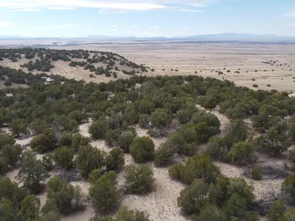 43984 Taos Trl, Model, CO 81059