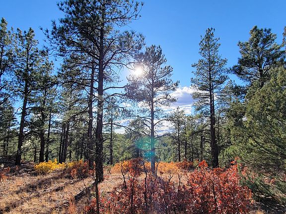 4th image of 17250 County Road 51 Lot Wp001