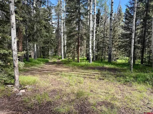 425 Aspen Trail, Cimarron, CO 81220